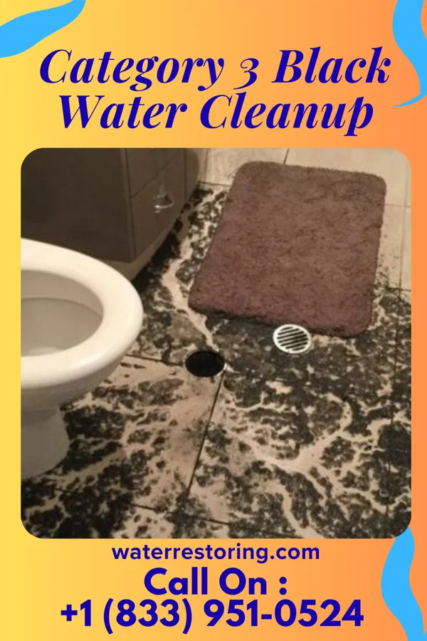 Category 3 Black Water Cleanup in Snoqualmie, WA