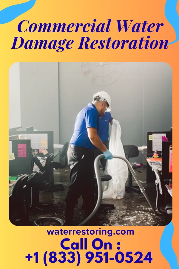 Commercial Water Damage Restoration in Snoqualmie, WA