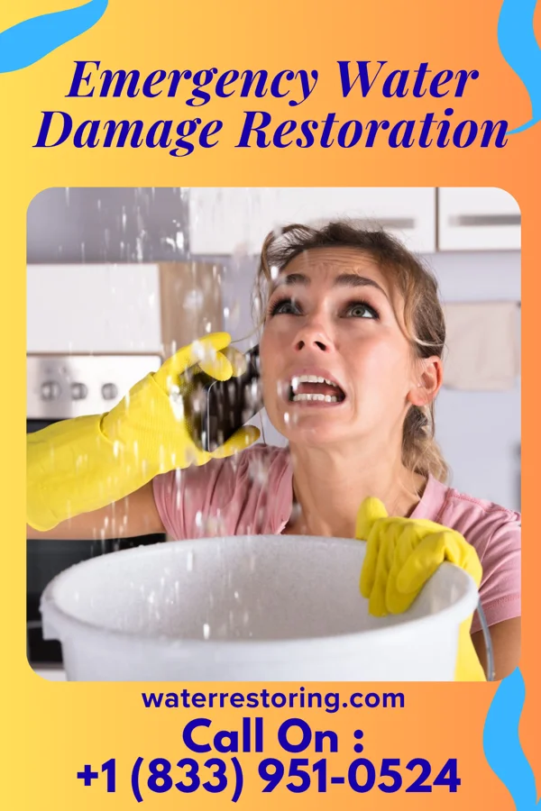 Emergency Water Damage Restoration in Snoqualmie, WA