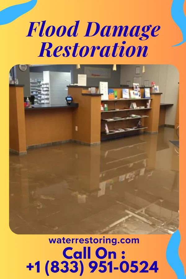 Flood Damage Restoration in Snoqualmie, WA